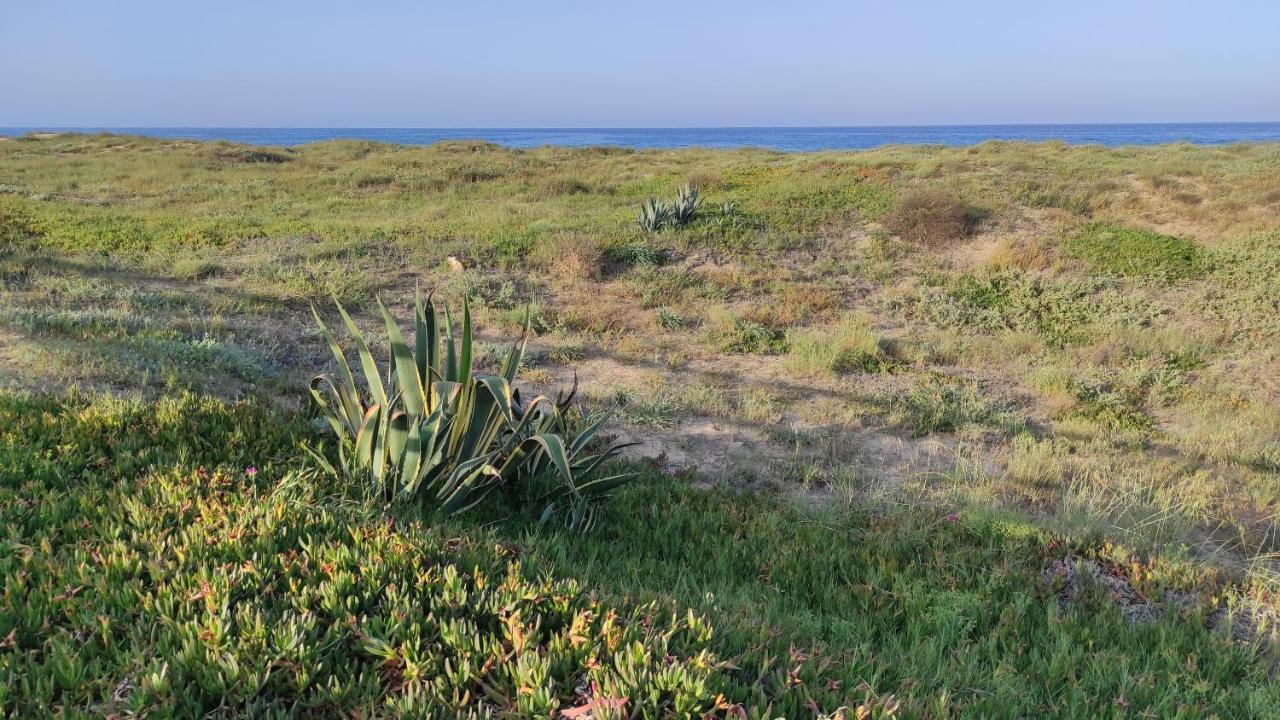 Apartment Heydays La Mata (Torrevieja)